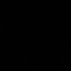 Meet your Posher, Melody